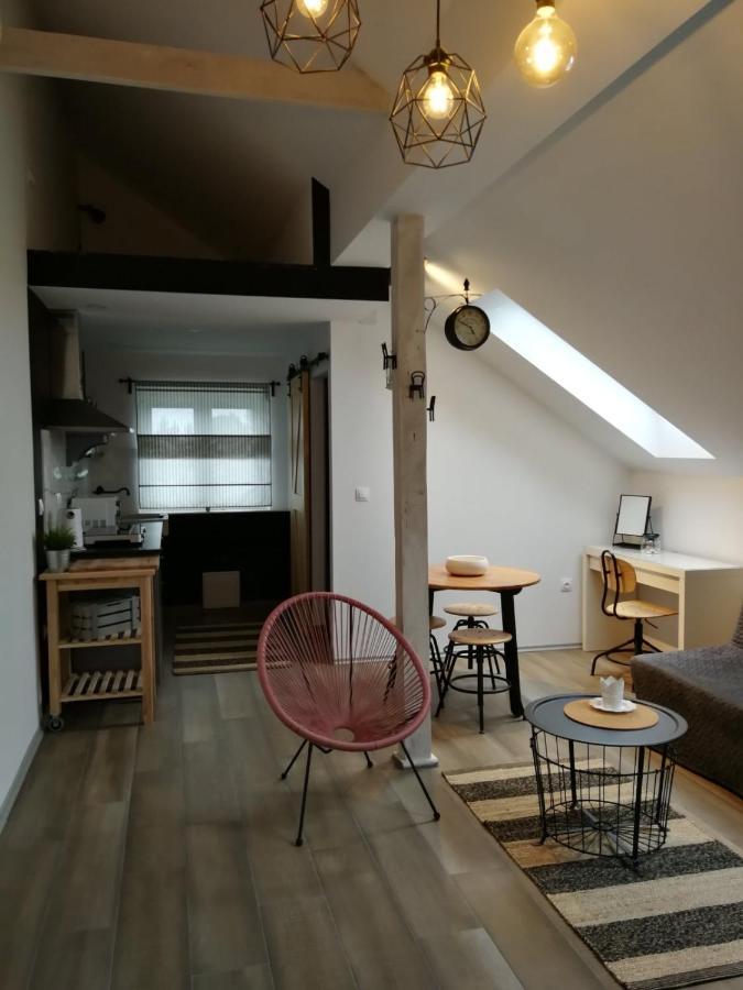 Апартаменты Studio Apartman Hana Дрежник Град Экстерьер фото